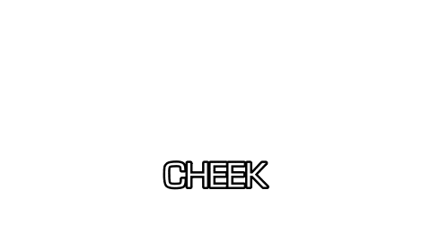 Cheek Makeup & Blush Professional Makeup | Studio Gear Cosmetics