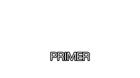 PRIMERS